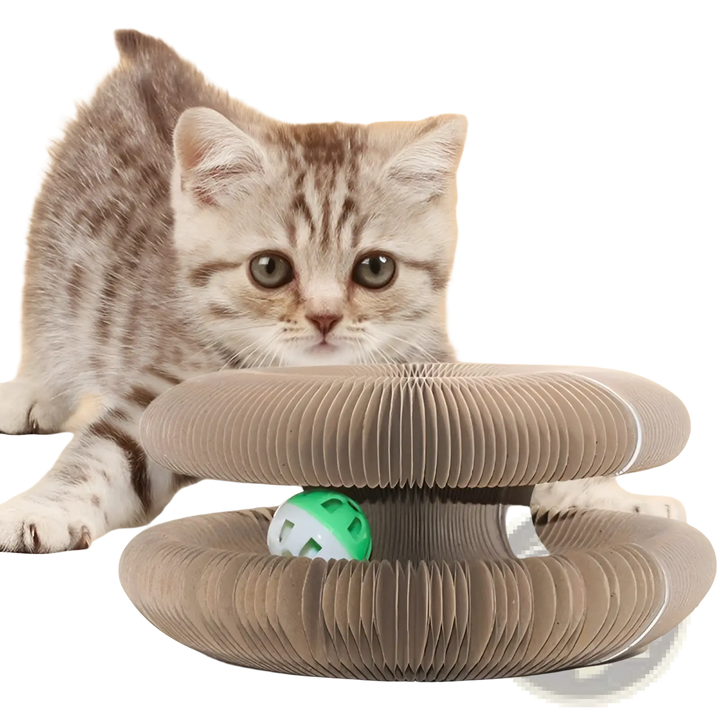 Cat using beige corrugated scratching spiral toy with green bell ball