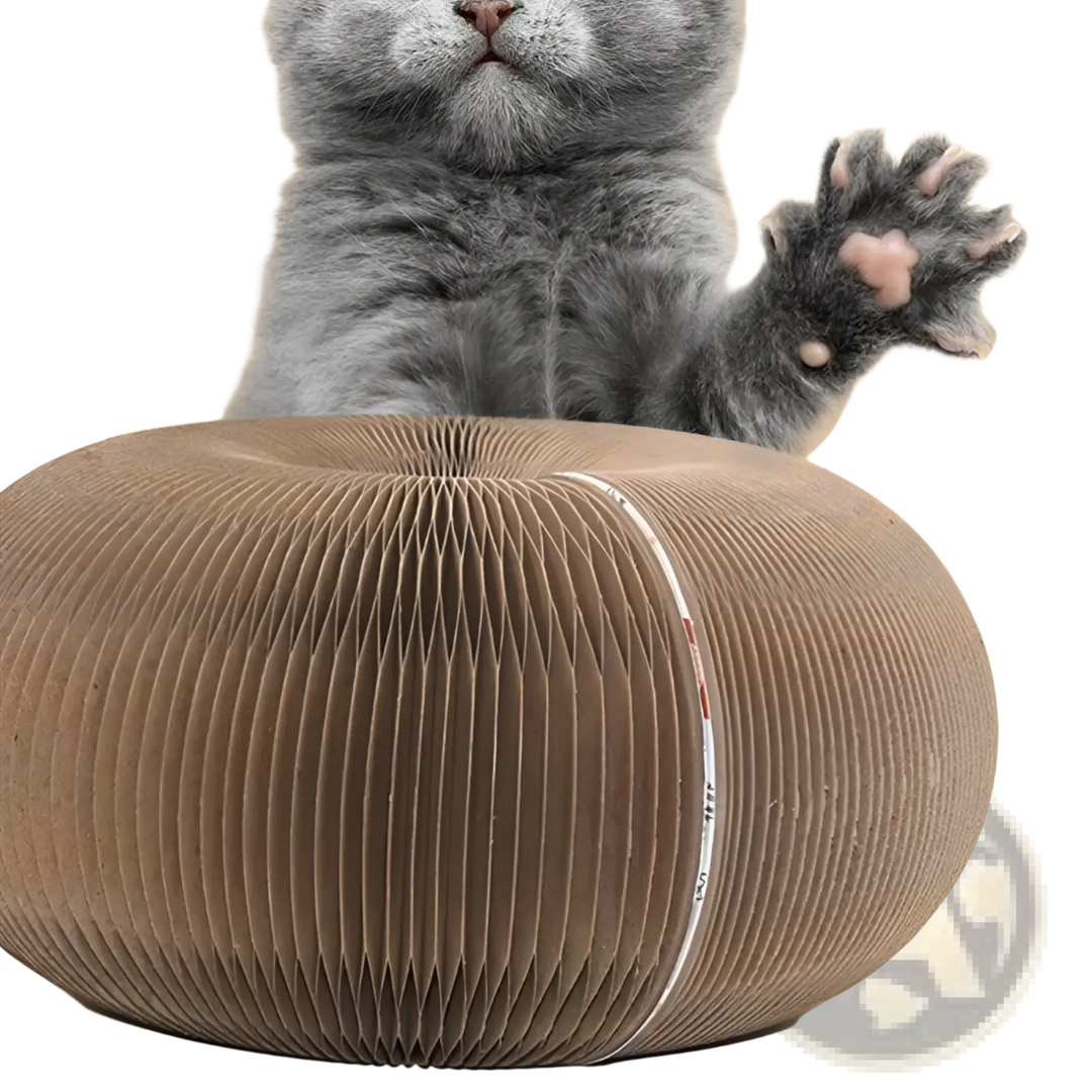 Cat pawing a round beige corrugated scratching tunnel with green ball insert