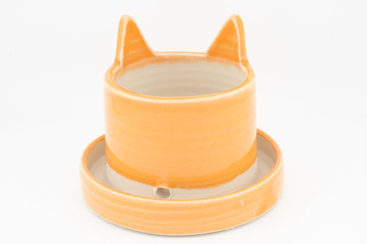 Orange kitty cat ceramic planter with rounded ears and pale interior bowl