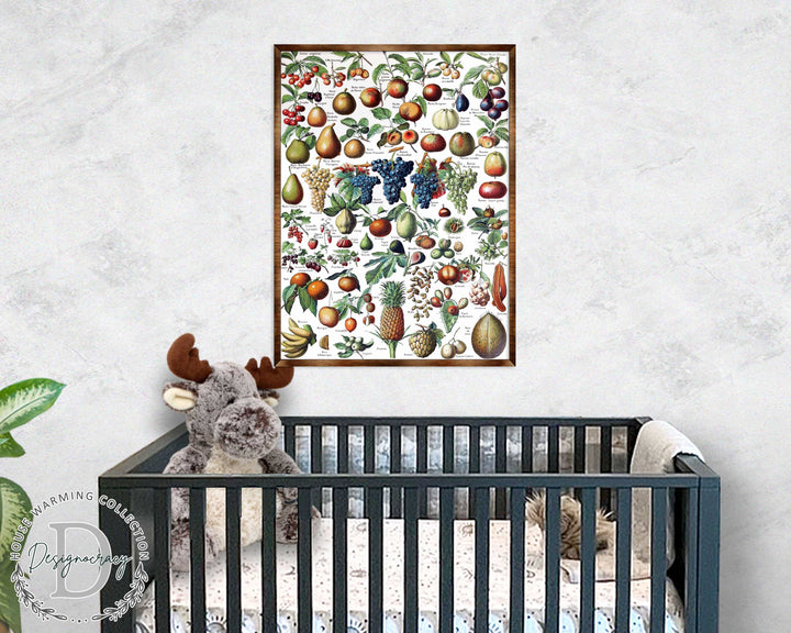 Wood-framed fruit educational poster with colorful fruit illustrations, square composition