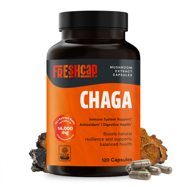Chaga mushroom extract capsules bottle, FreshCap orange label, 120 capsules