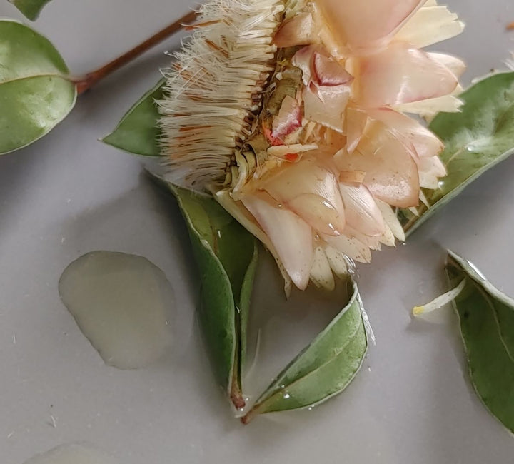 Face oil drops on leaves and pale flowers in a skincare product scene