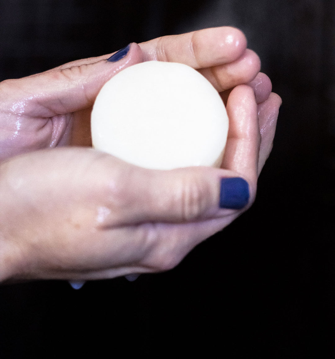 Conditioner Bar | Wild Nectar | Argan Oil