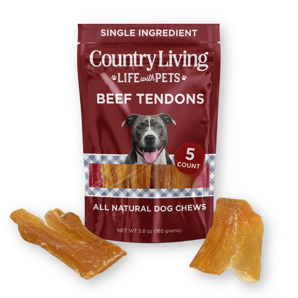 Beef tendon dog chews, 5-pack with dried chew strips shown