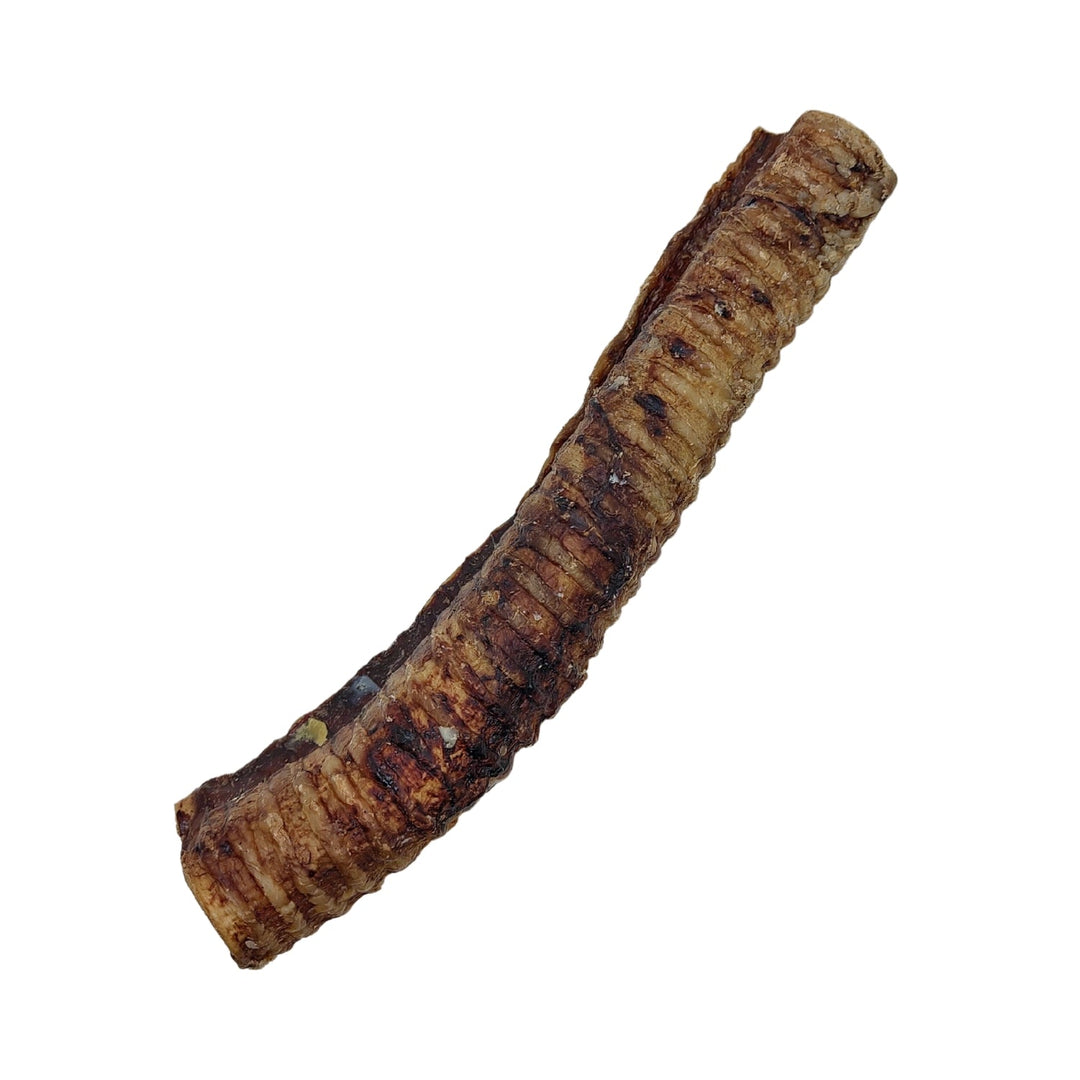 Single beef trachea dog treat, long ridged chew stick