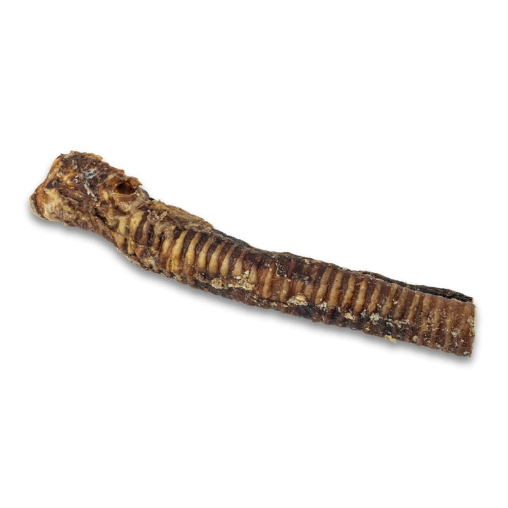 Beef trachea dog treat, short curved ridged chew stick