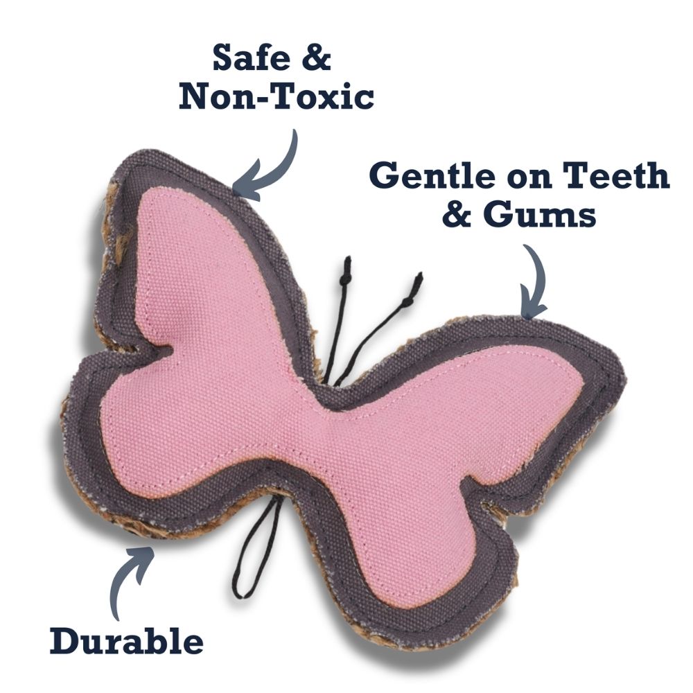 Butterfly-shaped dog chew toy with pink wings, dark outline, and small stitched antennas