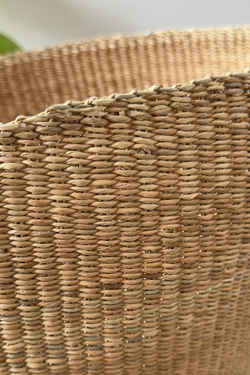 Close-up of woven natural fibers on a rounded planter basket