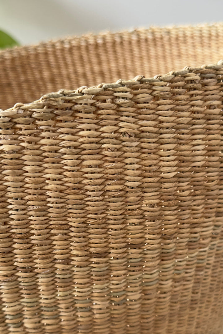 Close-up of woven natural fibers on a rounded planter basket