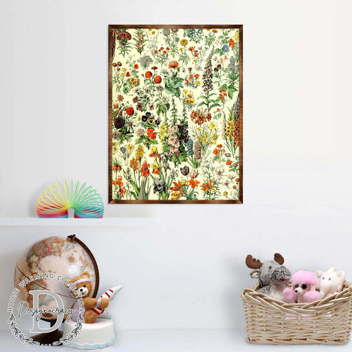 Floral educational poster with botanical artwork and dark wooden frame