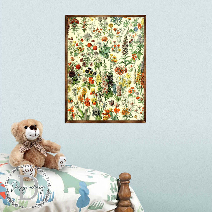 Floral educational poster with botanical illustration in dark wooden frame