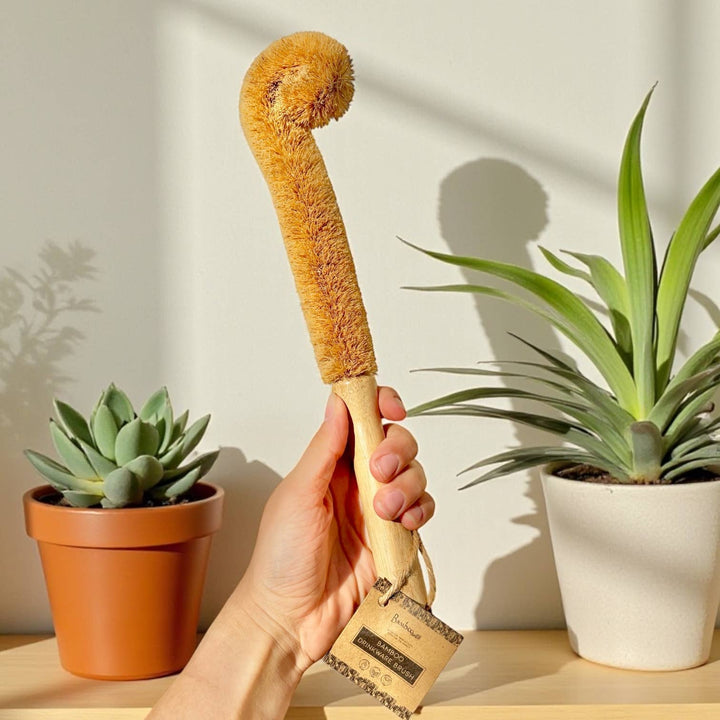 XL bottle brush with tan wooden handle and yellow-brown bristle head
