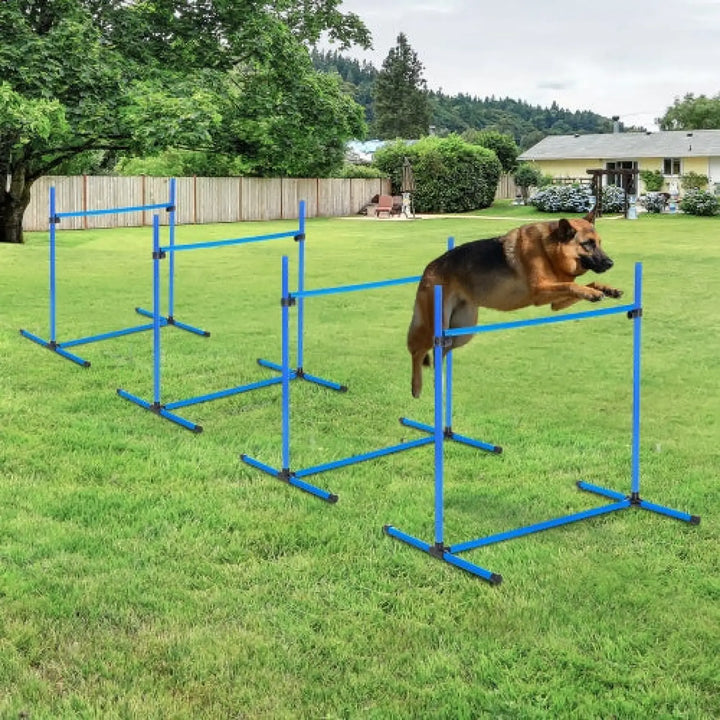 Outdoor dog agility jump set with multiple blue hurdles and a dog mid-jump