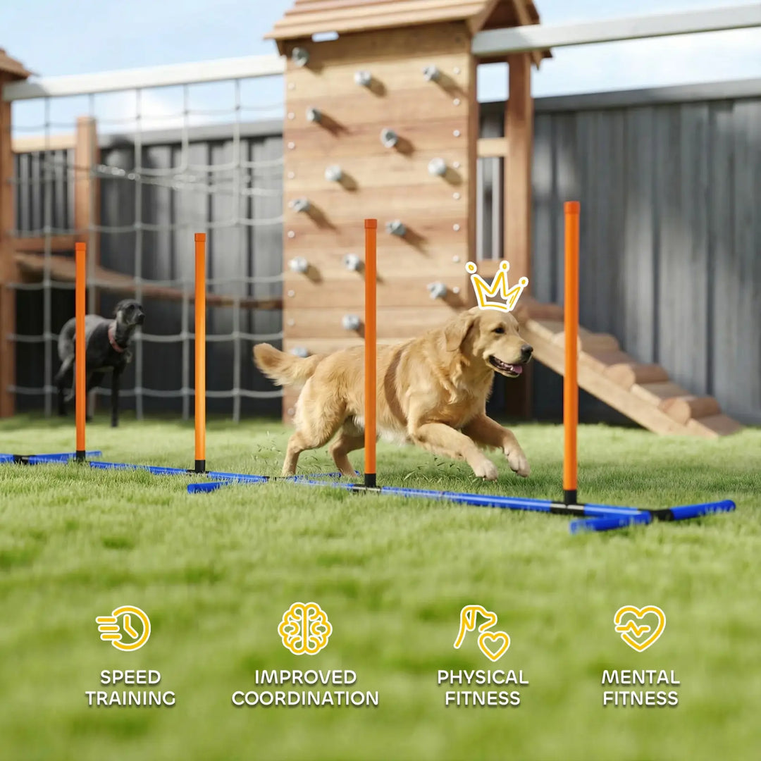 Orange and blue agility pole line with dog running through poles on lawn