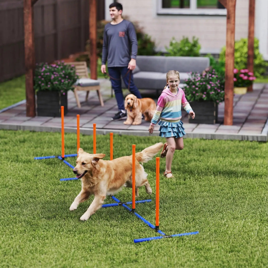 Orange and blue adjustable dog agility poles training set for jump drills on grass