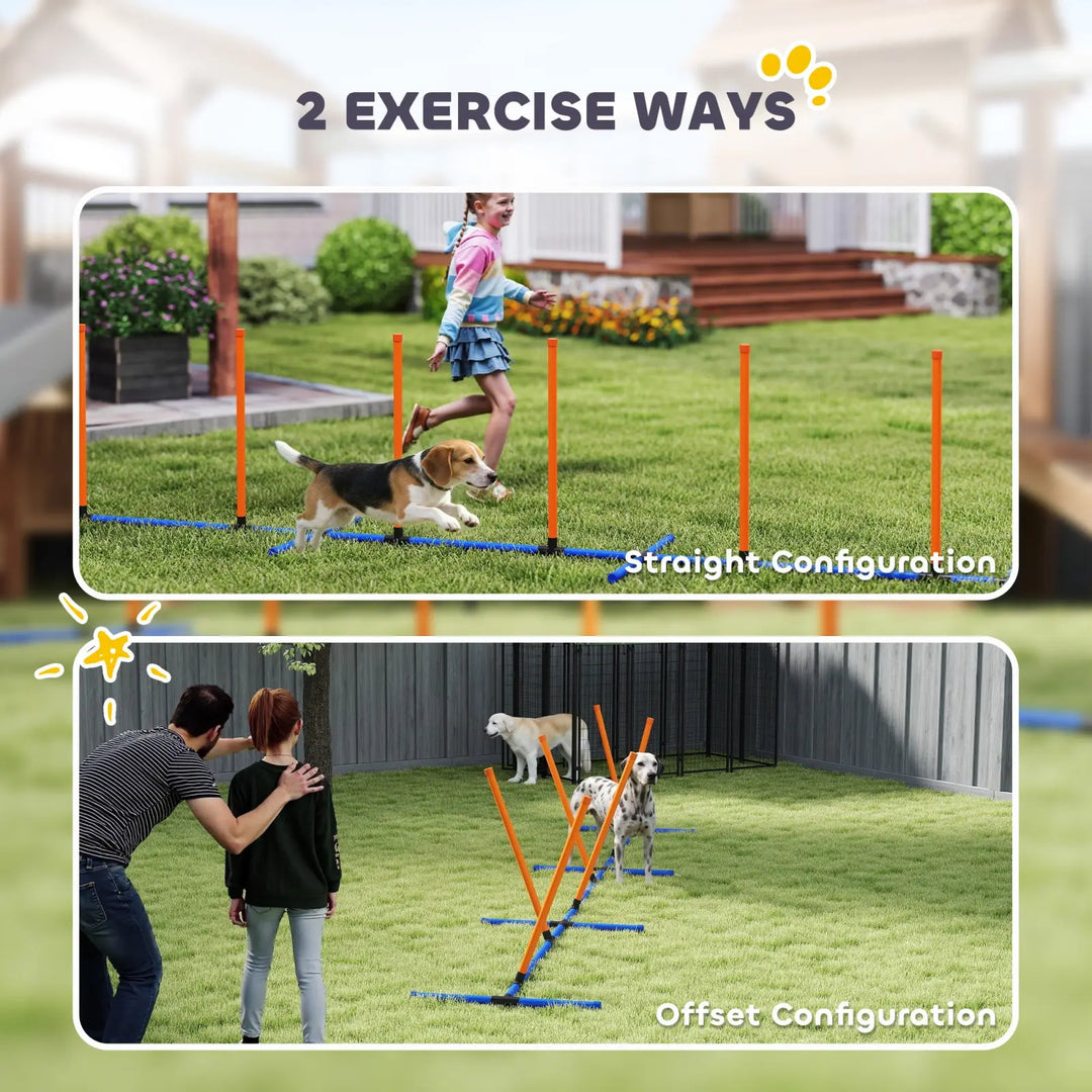 Dog agility poles offering two layouts: straight and offset jump practice