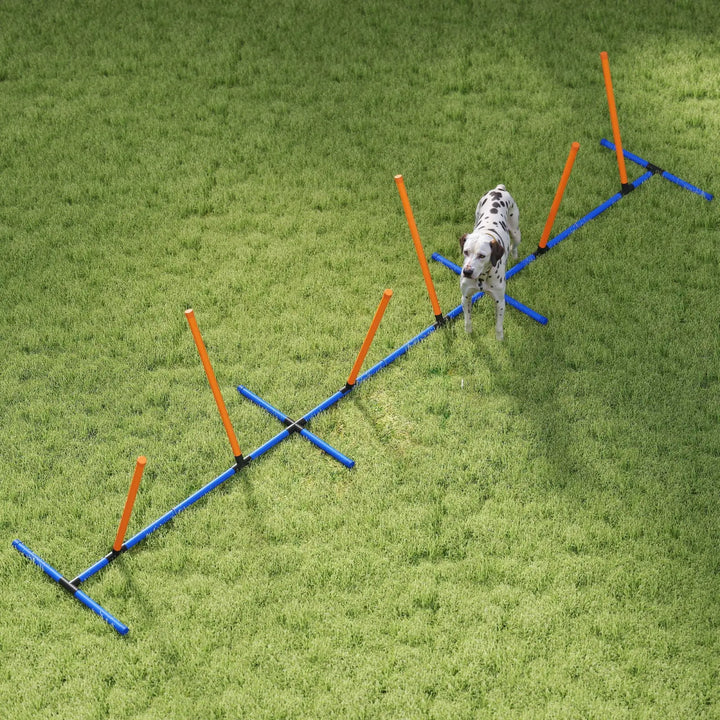 Dog agility poles with orange uprights and blue base bars for obstacle jumping