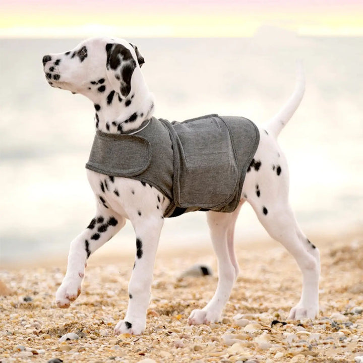 Heather gray dog anxiety vest with padded wrap for comfort