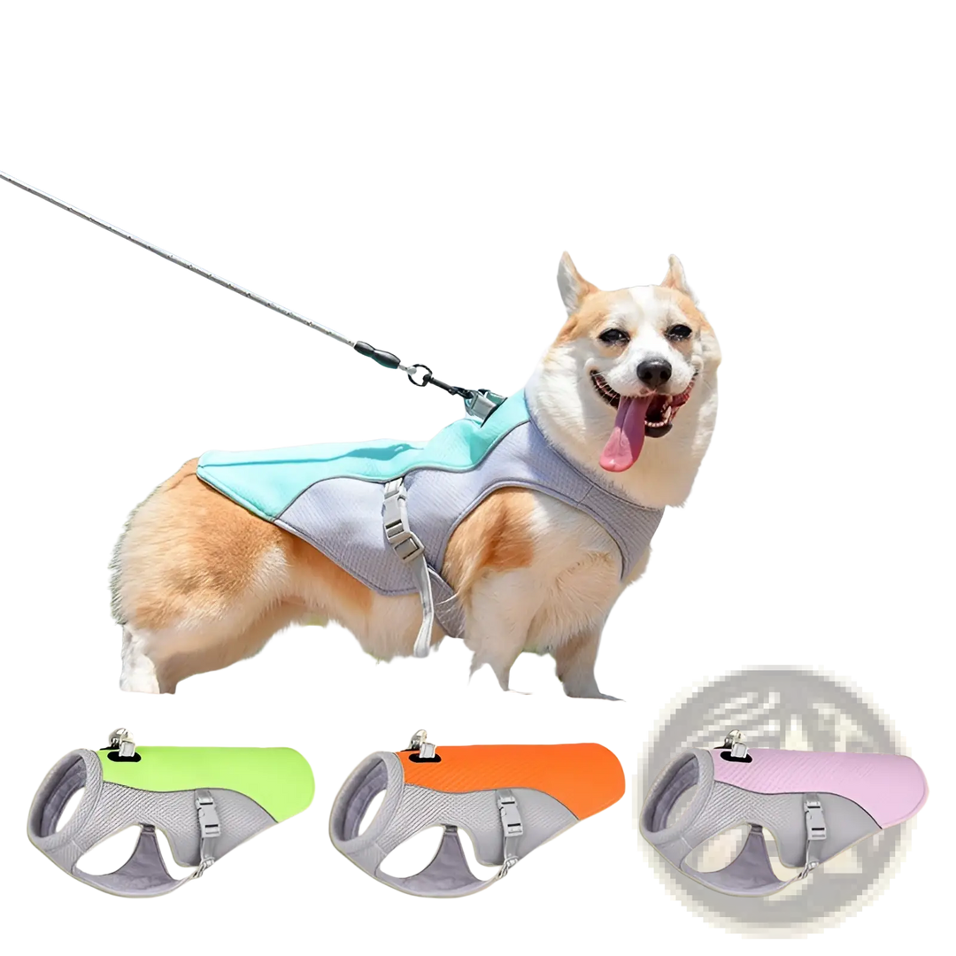 Light blue mesh dog cooling vest with gray harness straps and open belly cutout