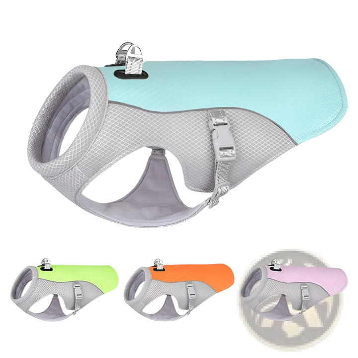 Aqua blue and gray mesh dog cooling vest with gray buckles and leg cutouts
