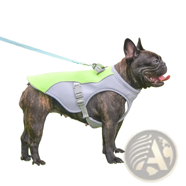Light green mesh dog cooling vest with gray harness straps and open belly cutout