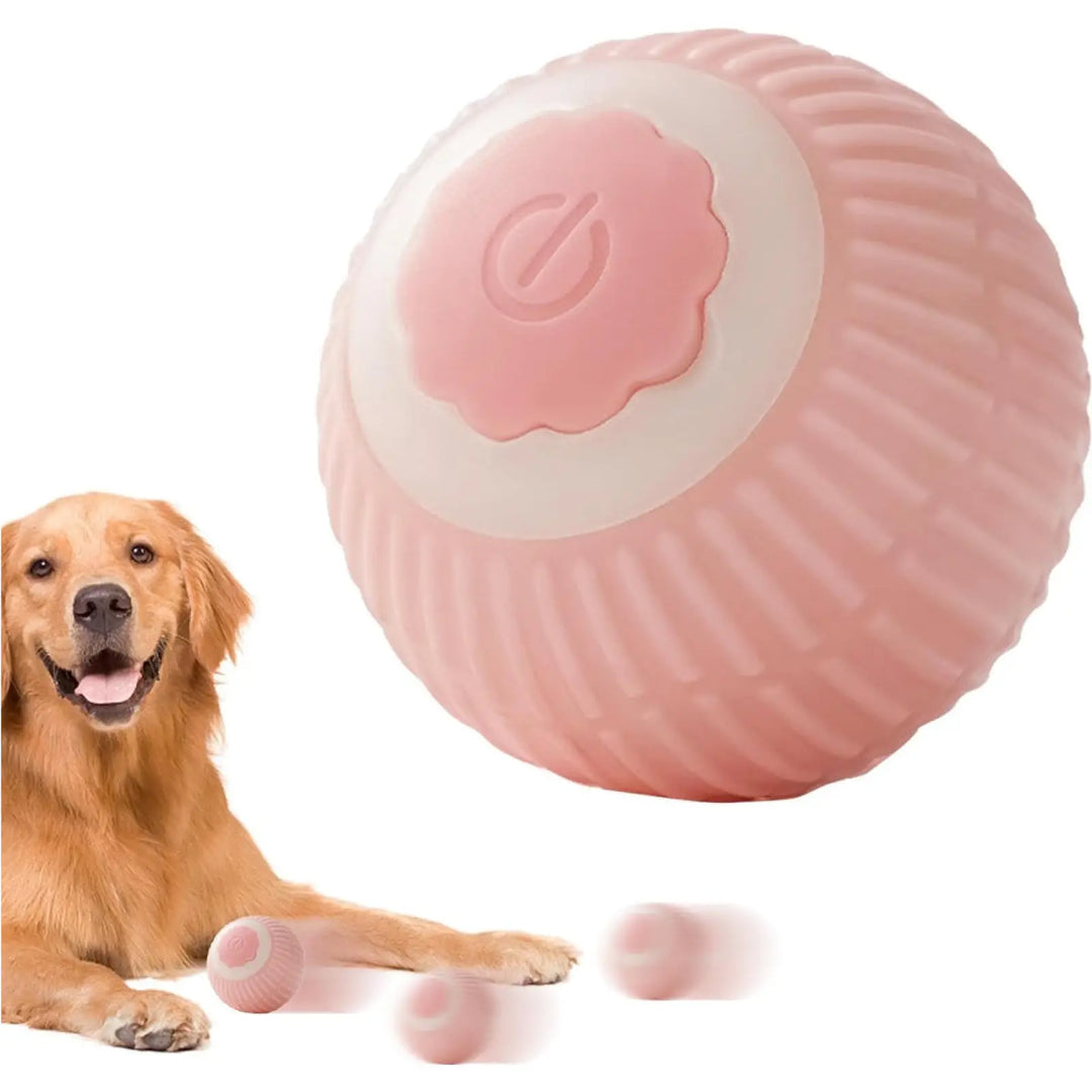 Pink electric rolling pet ball with power button, shown with sitting dog