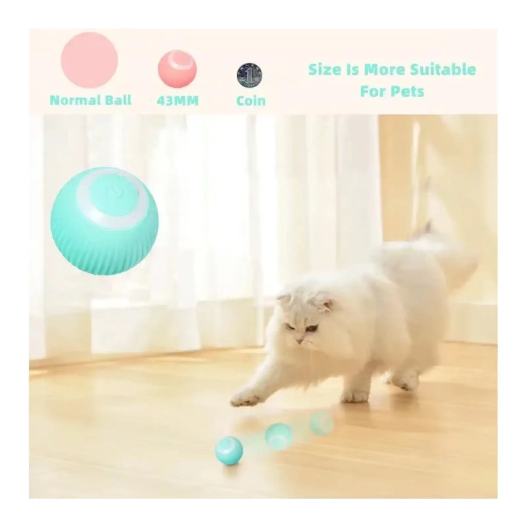 Blue-green rolling pet ball on floor, shown with white cat