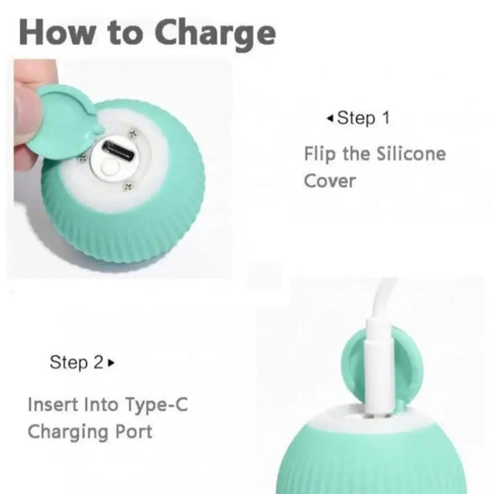 Mint rolling pet ball showing Type-C charging port under silicone cover