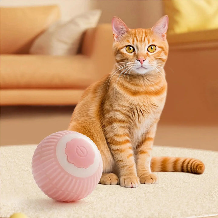Pink electric rolling pet ball with power button, next to orange tabby cat