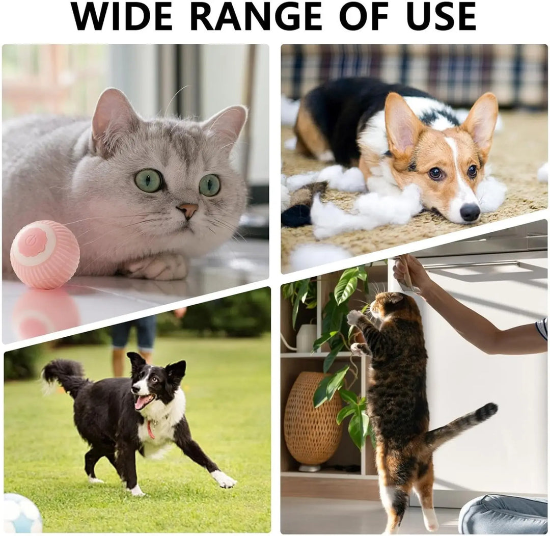 Light-up rolling pet ball in pink and mint, shown with pets playing