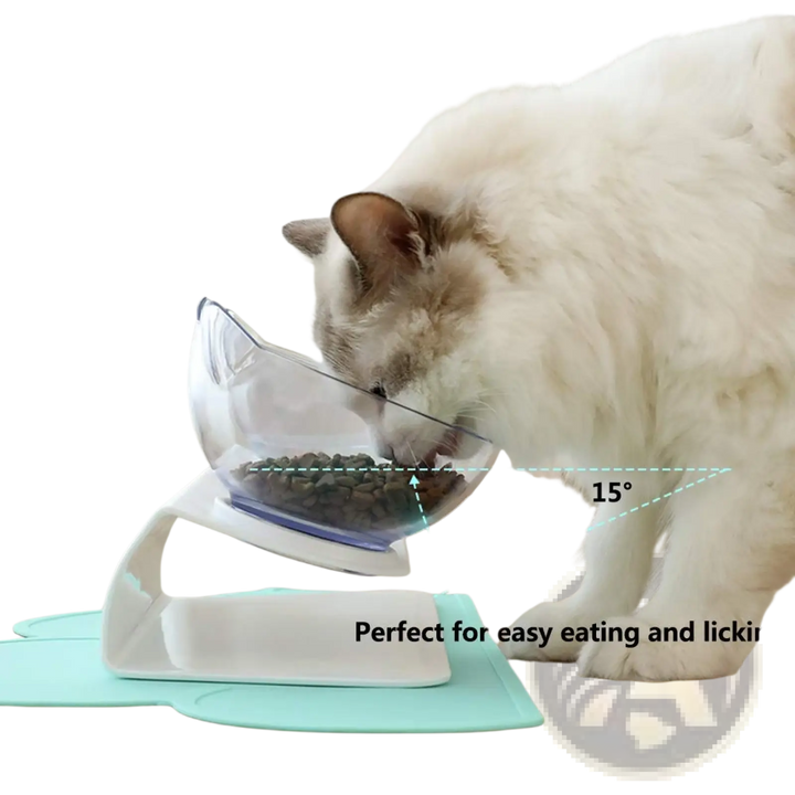 Tilted double cat bowl feeder stand with clear bowls and white base, cat eating