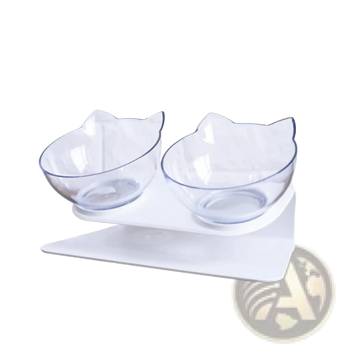 Transparent elevated double cat bowls on white tilted feeder stand