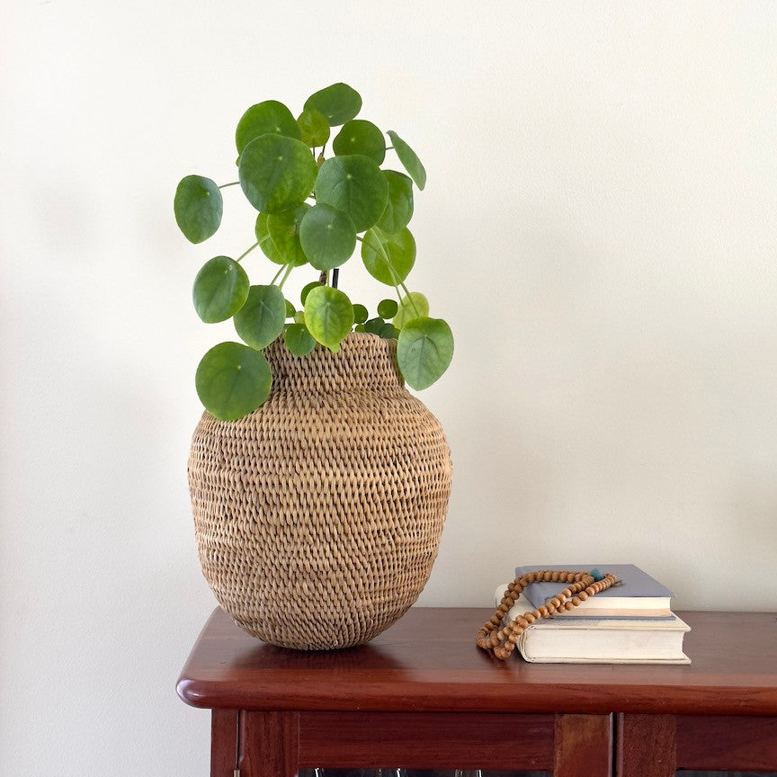 Woven jute basket vase with upright green plant on wooden table