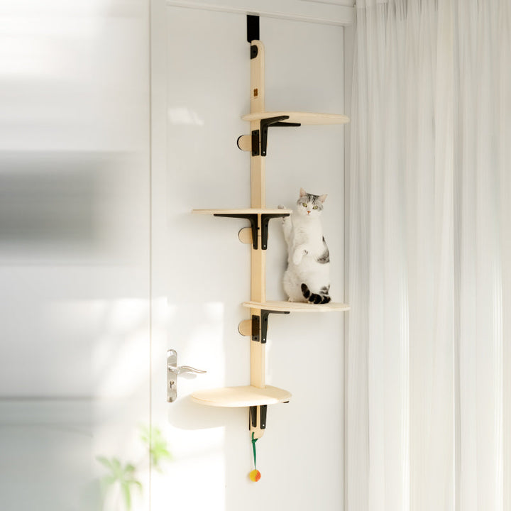 Door-hanging cat climbing frame with multiple wood perches and dangling pom