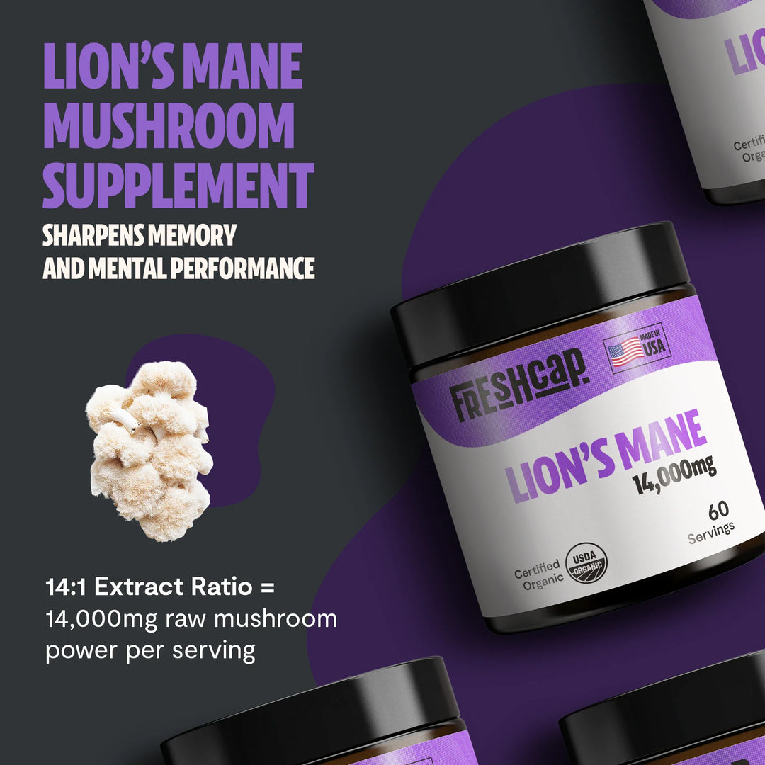 Organic Lion’s Mane mushroom powder supplement jar with scoop of light beige powder