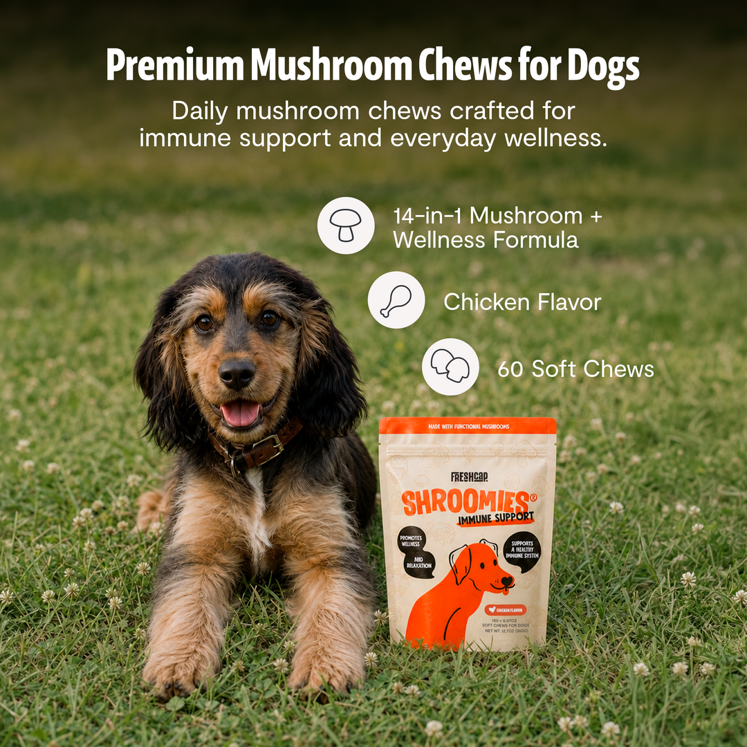 Dog mushroom chew supplement pouch with 14-in-1 wellness formula and chicken flavor callouts