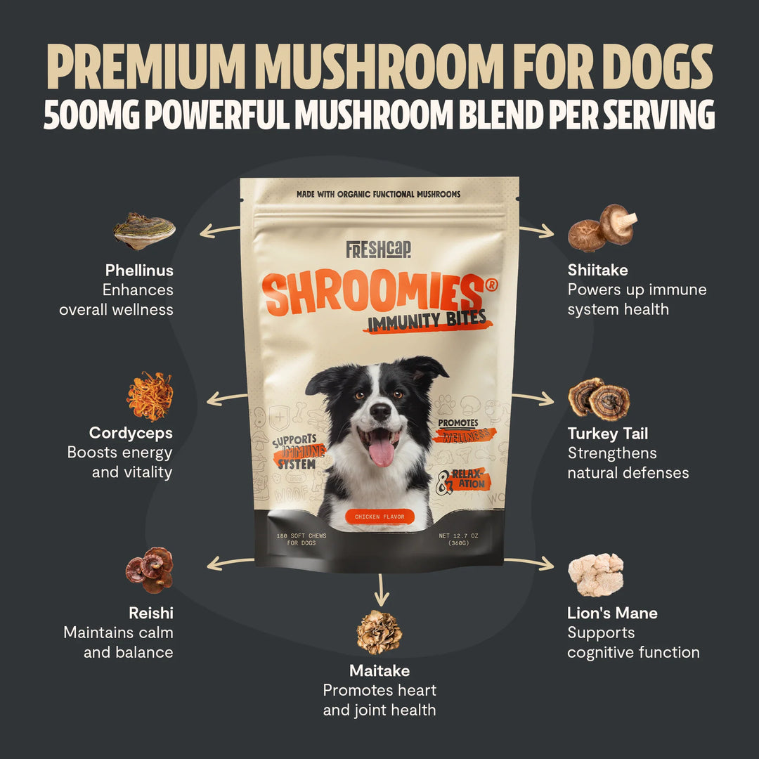 Freshcap SHROOMIES pouch with mushroom blend and ingredient callouts