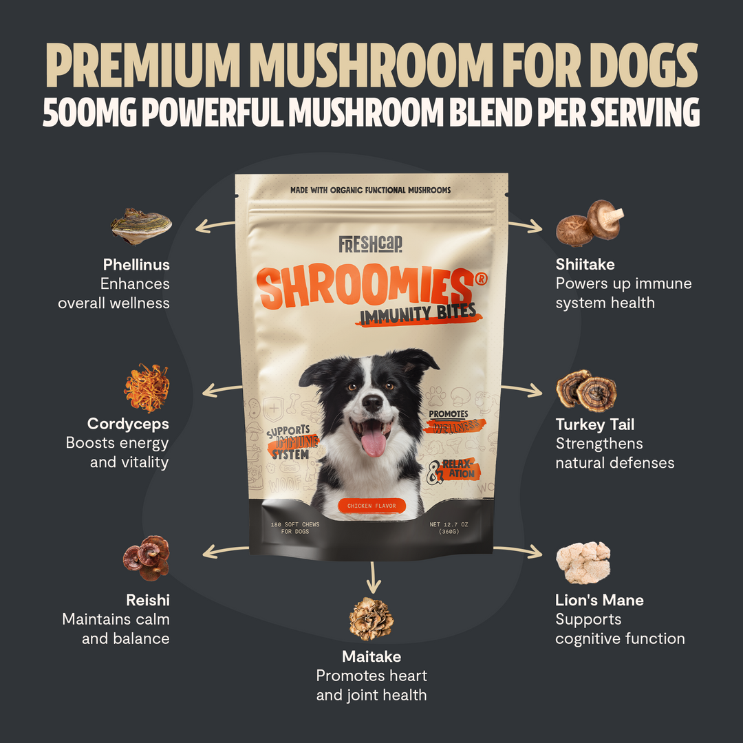Freshcap SHROOMIES pouch with mushroom names and wellness benefit callouts