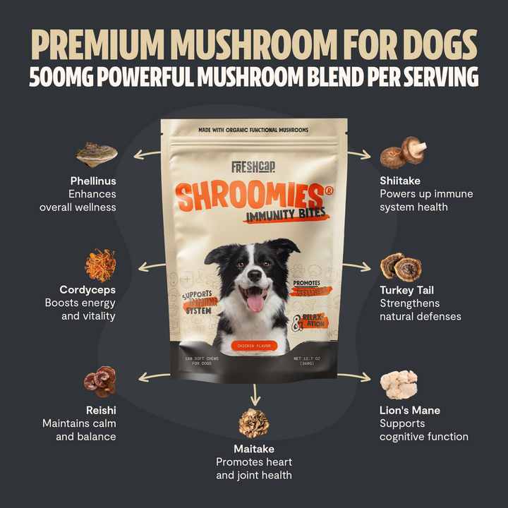 Freshcap SHROOMIES pouch with mushroom names and wellness benefit callouts