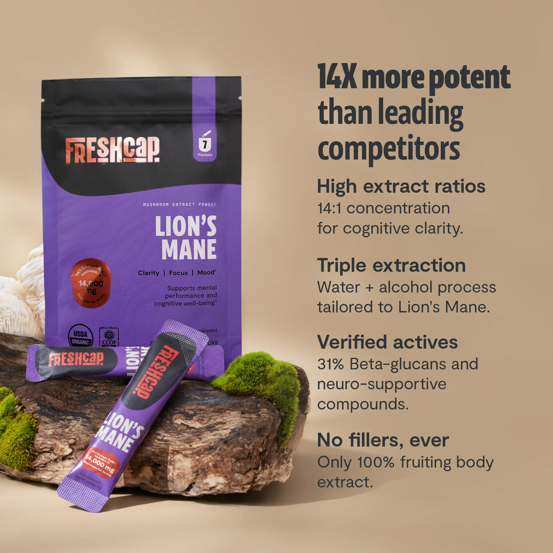 Lion’s Mane mushroom powder pouch with stick packs and dried mushrooms on a log
