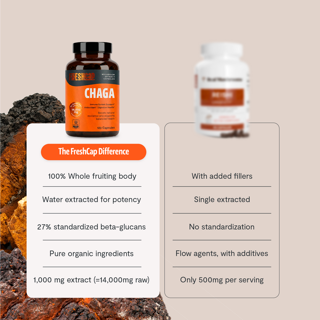 Chaga extract capsules bottle with black cap and orange label
