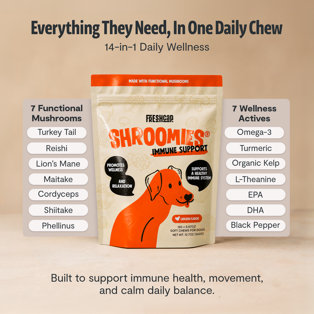 Dog daily wellness chew pouch listing 7 functional mushrooms and 7 wellness active ingredients
