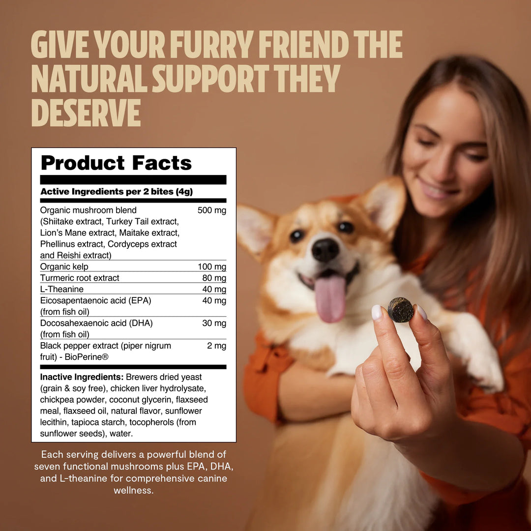 Woman offering a chew to a dog; product facts panel visible