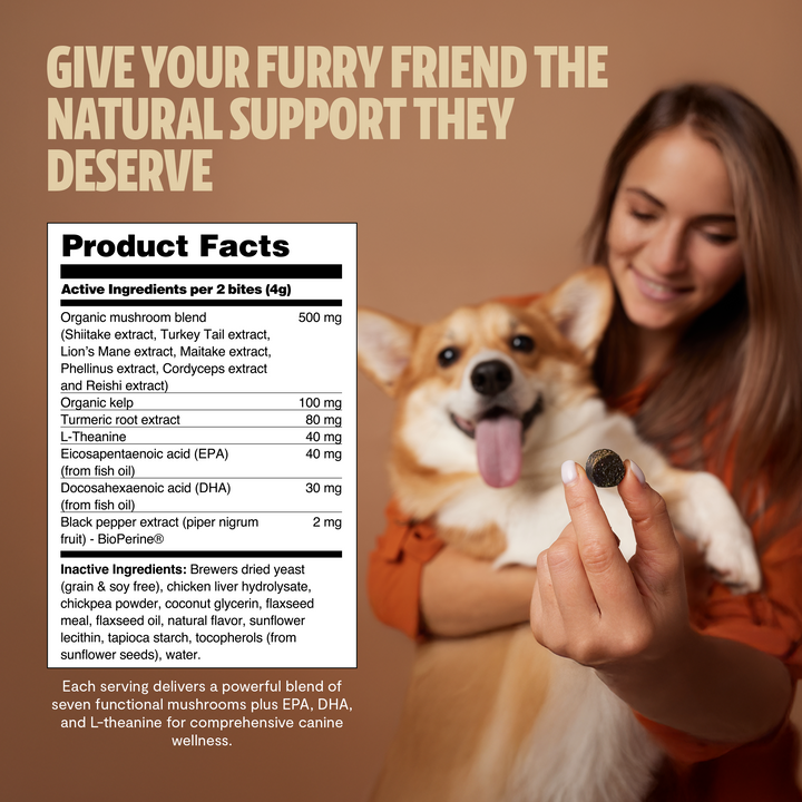 Woman holding a chew for a dog; product facts label on the left