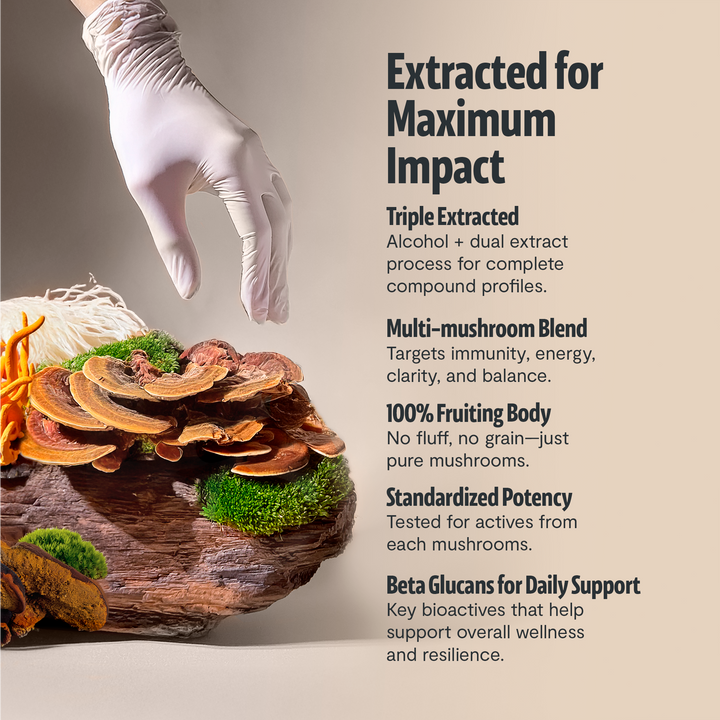 Gloved hand holding sliced mushrooms beside a mushroom supplement bottle