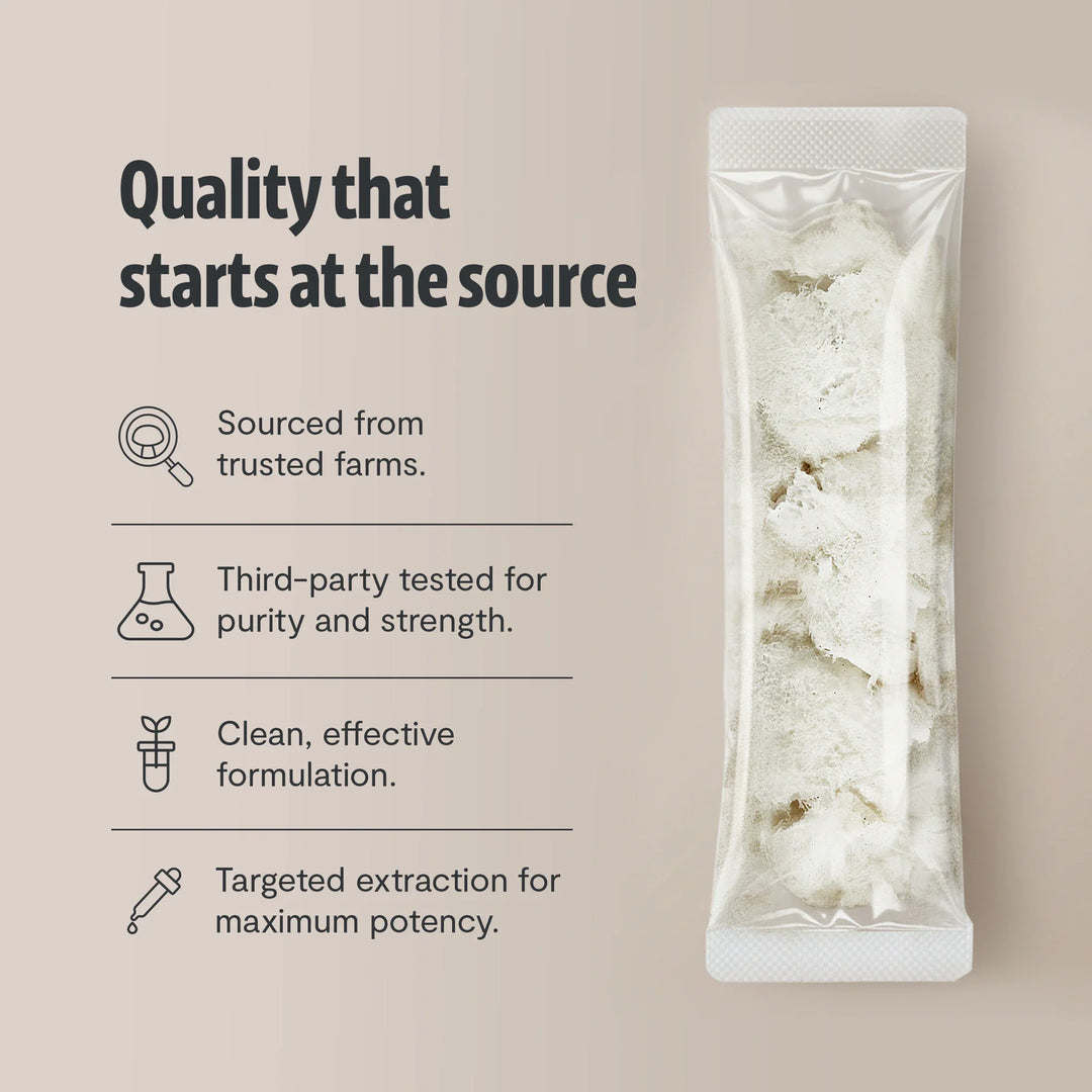 Organic Lion’s Mane mushroom powder foil pouch filled with fine white powder