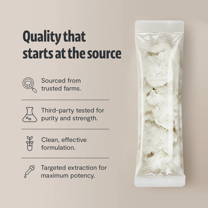 Organic Lion’s Mane mushroom powder foil pouch filled with fine white powder