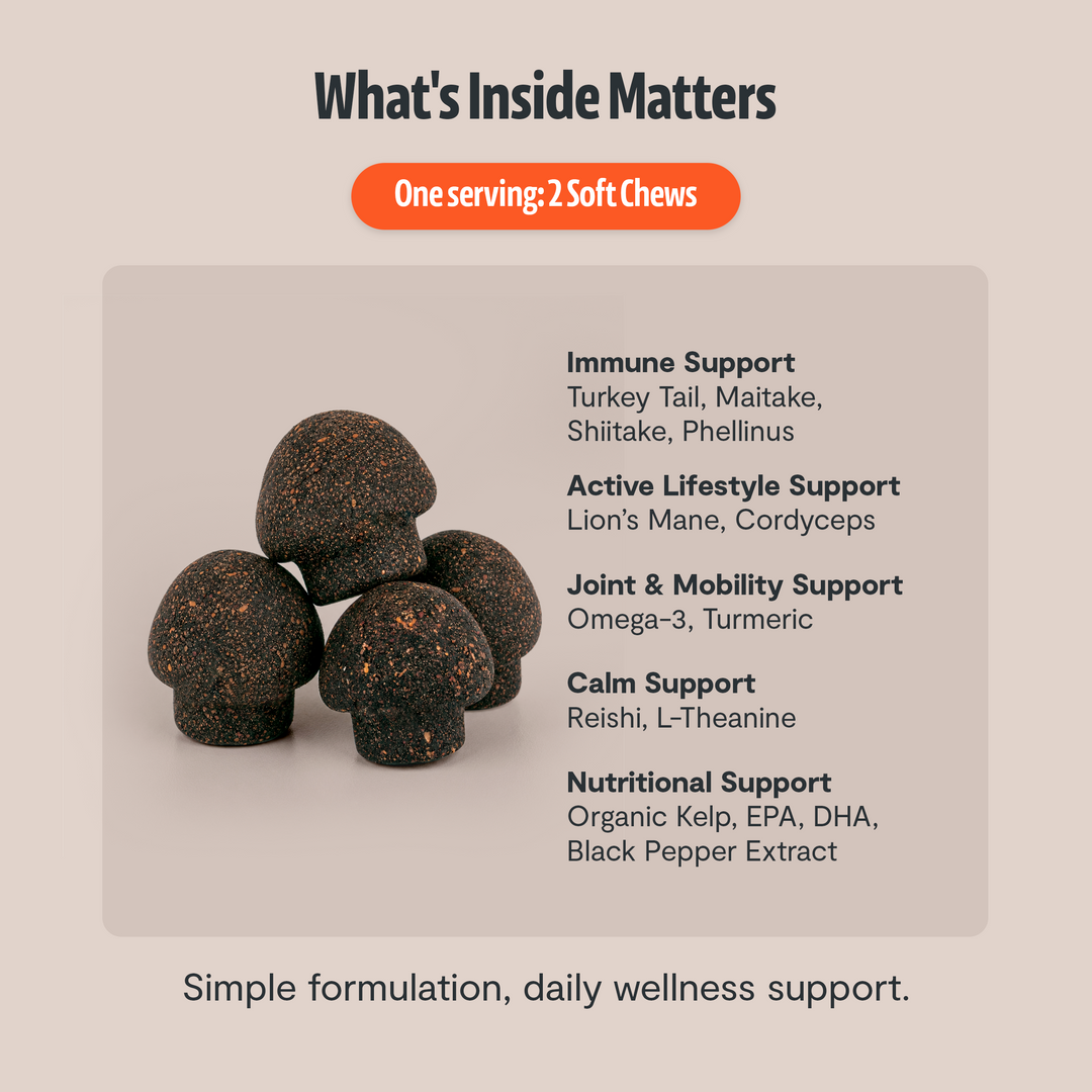 Dog mushroom chew ingredients breakdown with immune, active lifestyle, joint, and calm support