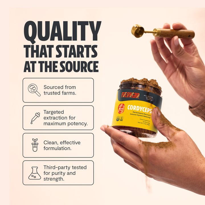 Hands holding Freshcap Cordyceps mushroom extract powder jar with dried cordyceps pieces