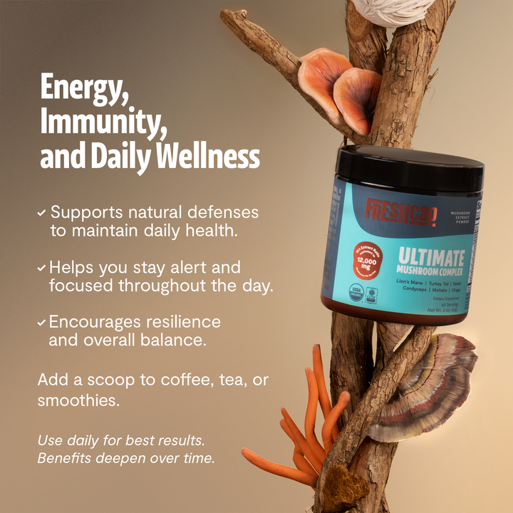 Mushroom extract powder blend jar standing on a log with mushrooms and roots